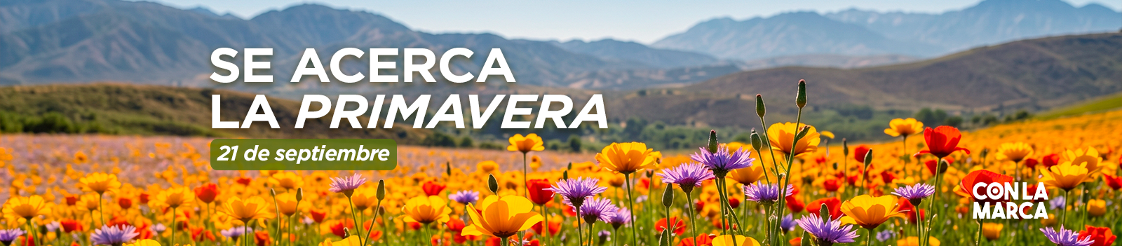Primavera 2026